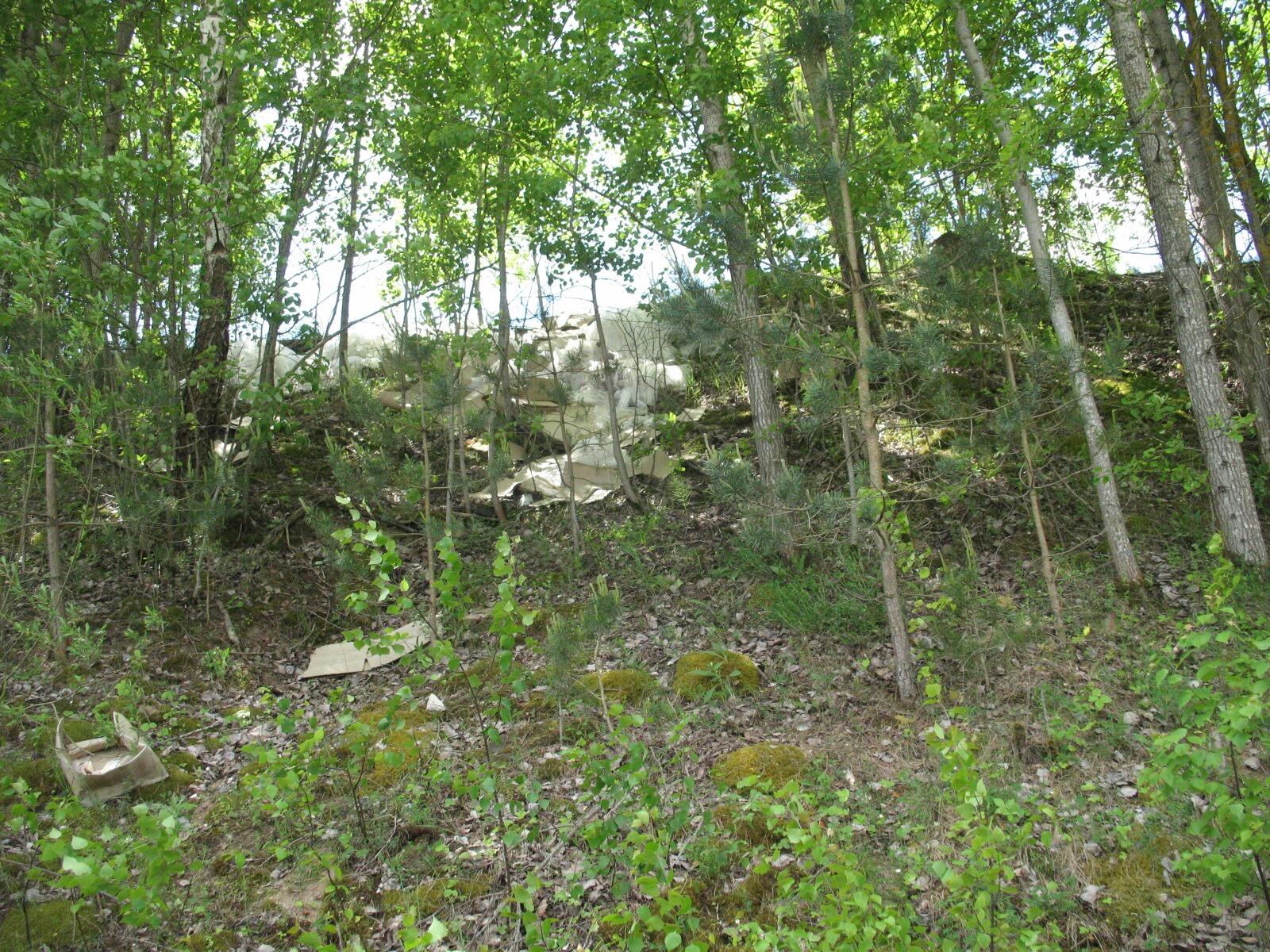 Prieš 3